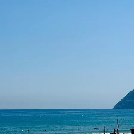 Corallini Luxury Mare *